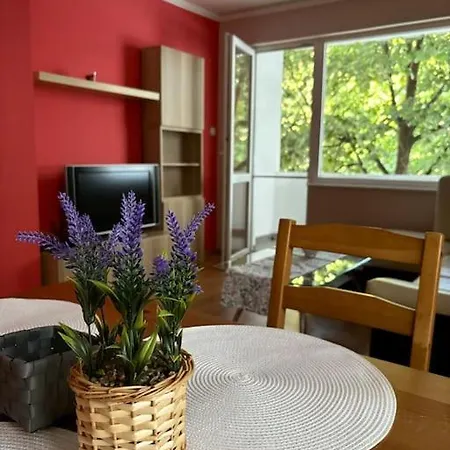 Apartament Vlado And Tedi *