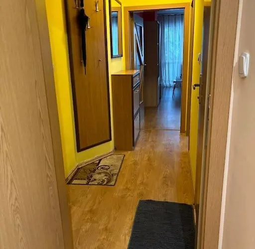 Vlado And Tedi Бургас