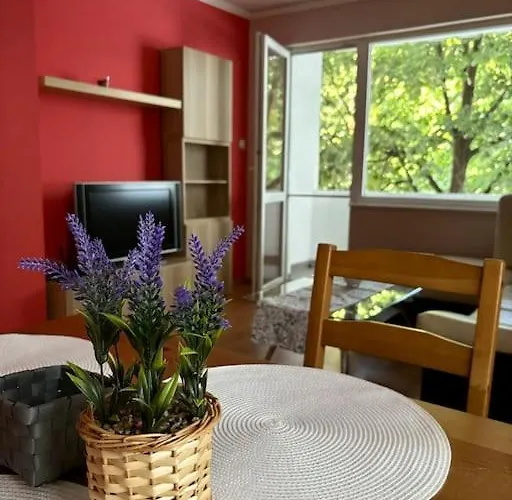 Апартаменты Vlado And Tedi *