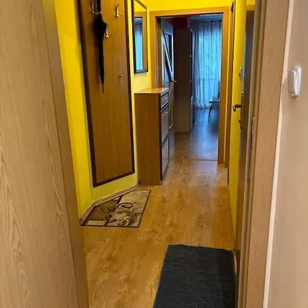 Vlado And Tedi بورغاس